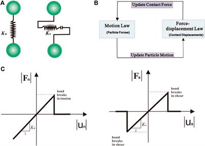 On the Determination of Coordination Numbers of Coupled DEM-DFN Model for Modeling Fractured Rocks